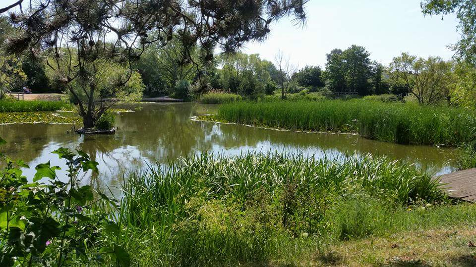 Shoebury Park