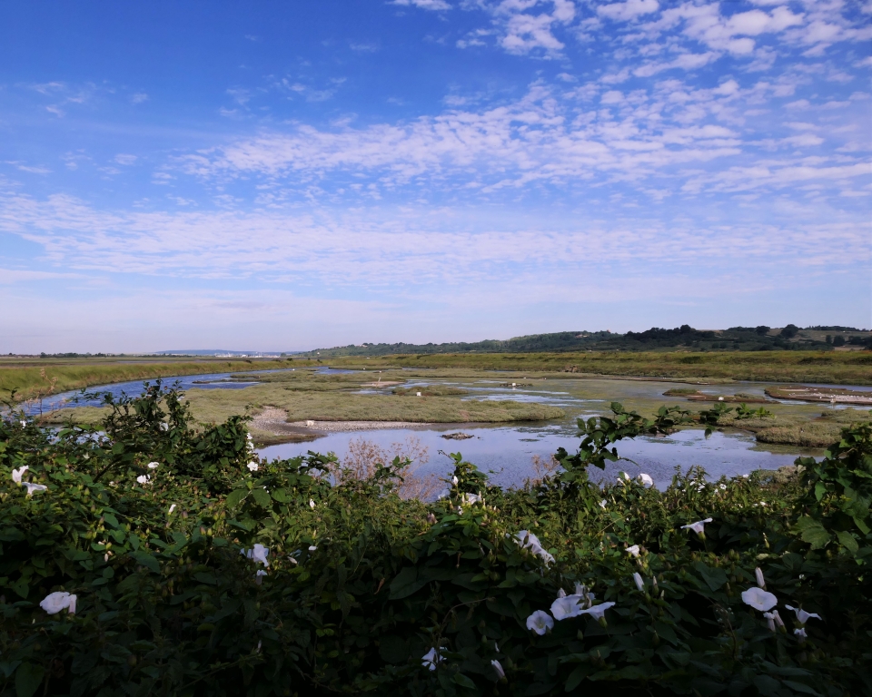 Two Tree Island Nature Reserve