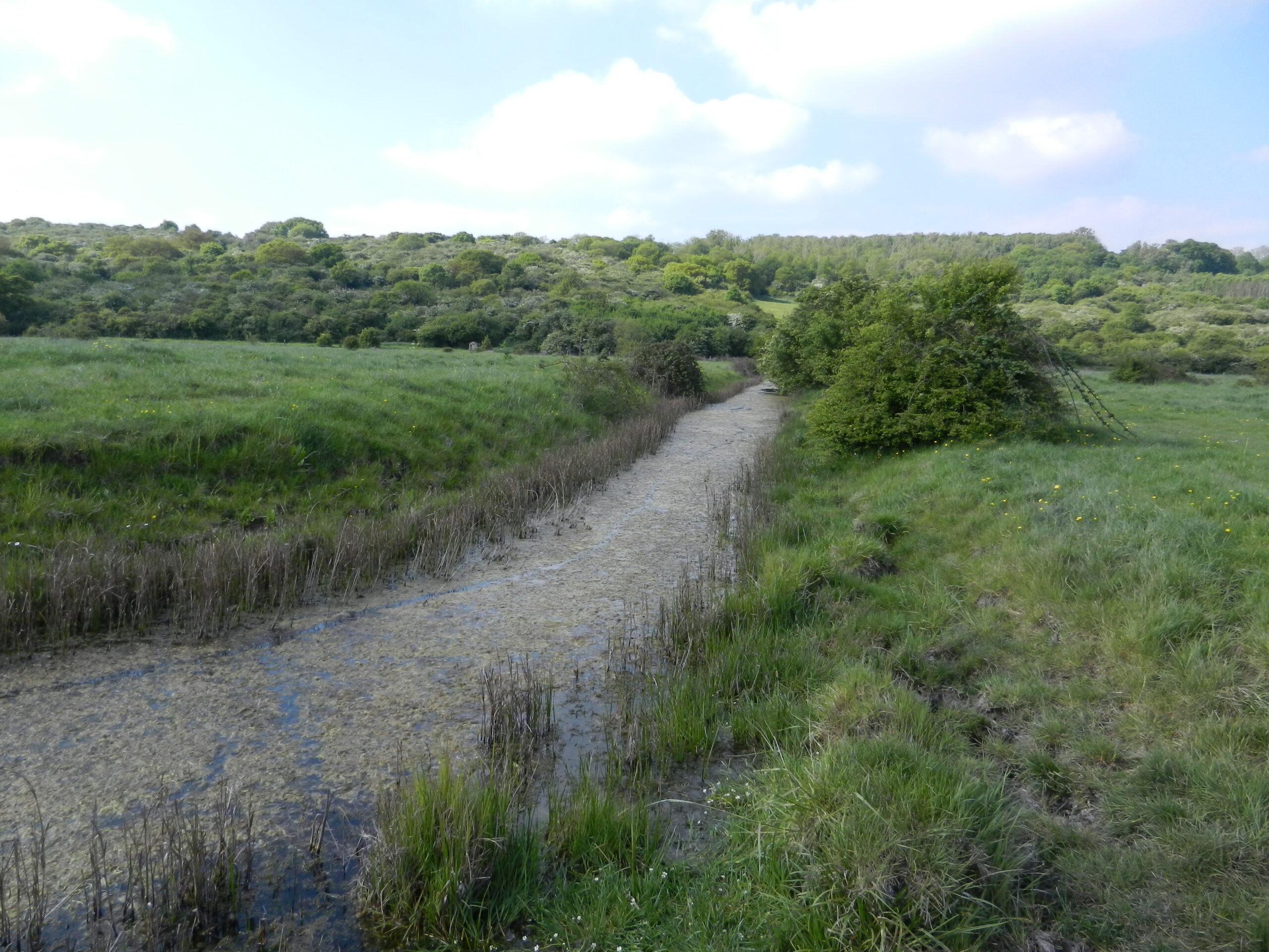 Hadleigh Country Park