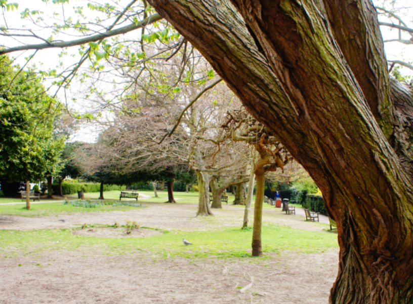 Leigh Library Gardens