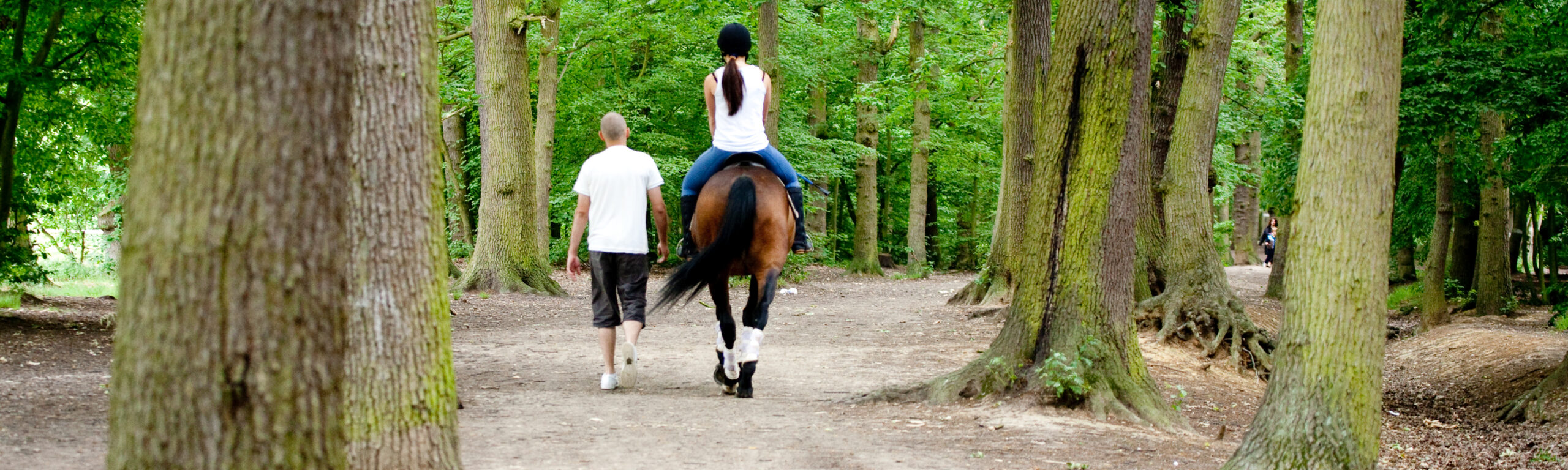 Belfairs Riding School