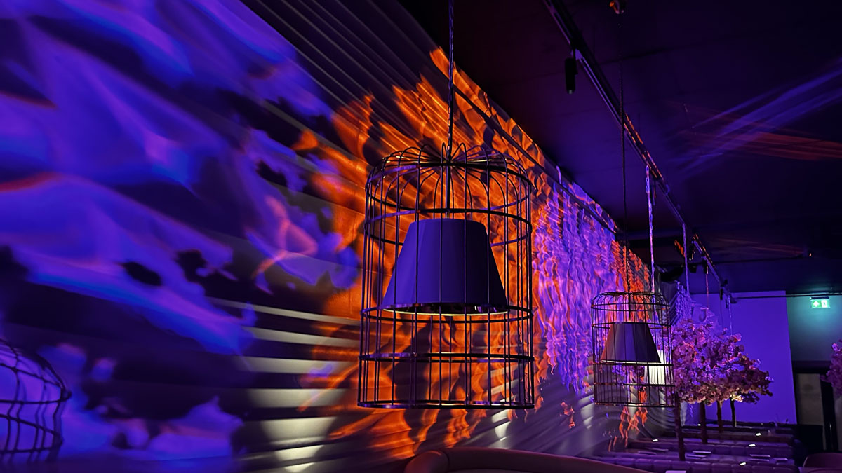 Zinnia Visit Southend