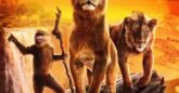 Two lions and a monkey stand upon a rock with a dessert sunset background